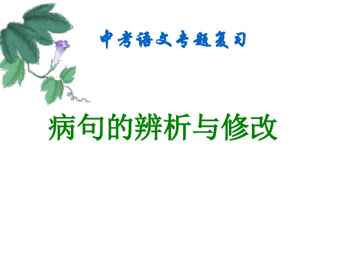 病句的辨析与修改 初中九年级语文教学课件PPT 人教版