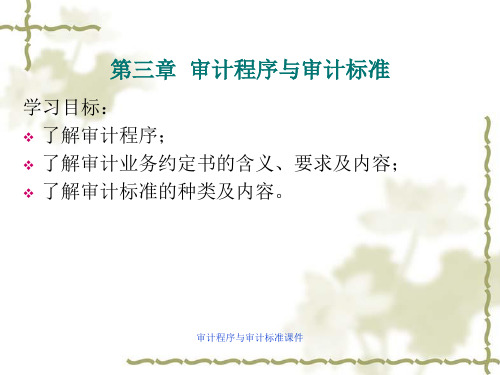 审计程序与审计标准课件