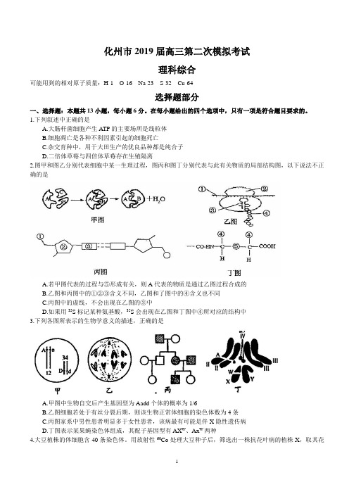 化州市2019届高三第二次模拟考试(理综)