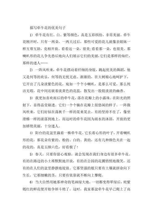 描写牵牛花的优美句子大全