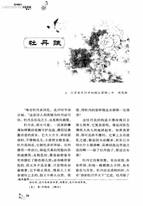 牡丹赋
