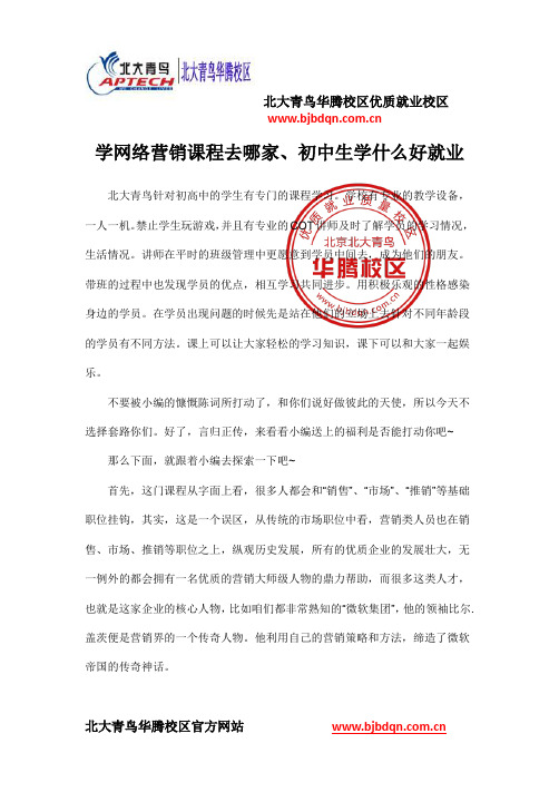 学网络营销课程去哪家、初中生学什么好就业