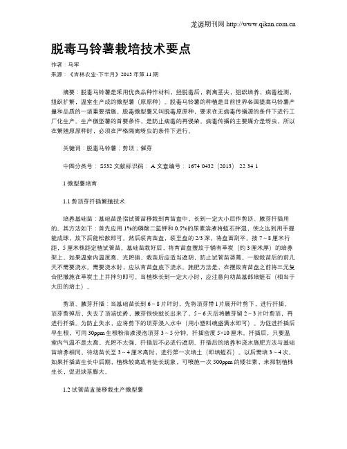 脱毒马铃薯栽培技术要点