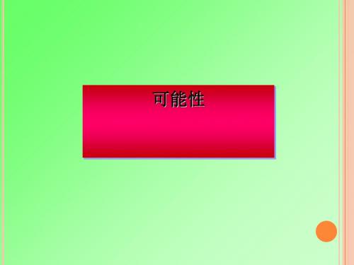 《可能性》PPT课件17