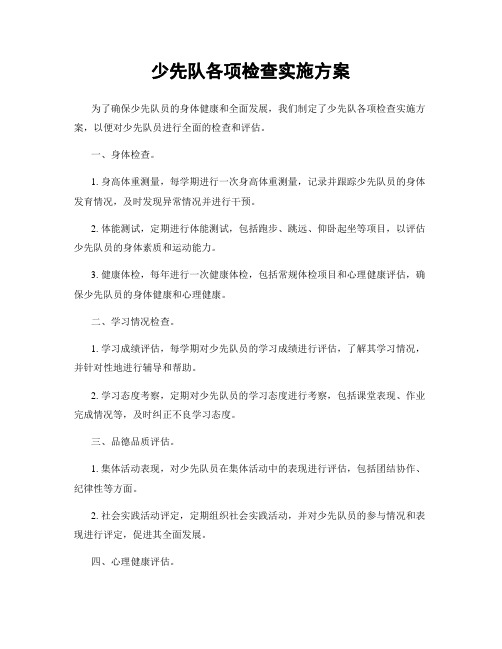 少先队各项检查实施方案
