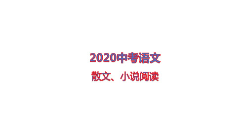 2020中考语文散文、小说阅读(有答案)  