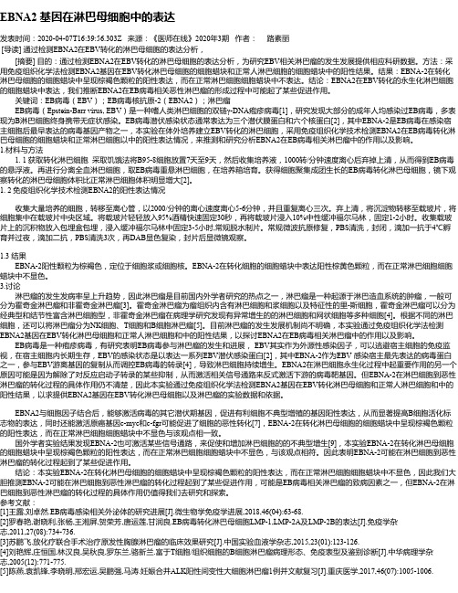 EBNA2 基因在淋巴母细胞中的表达