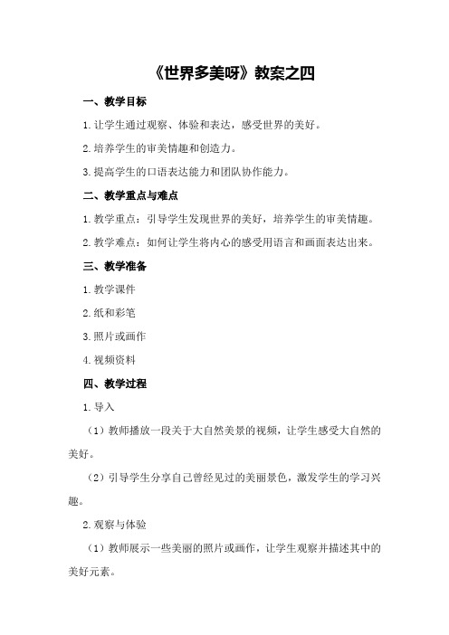 《世界多美呀》教案之四