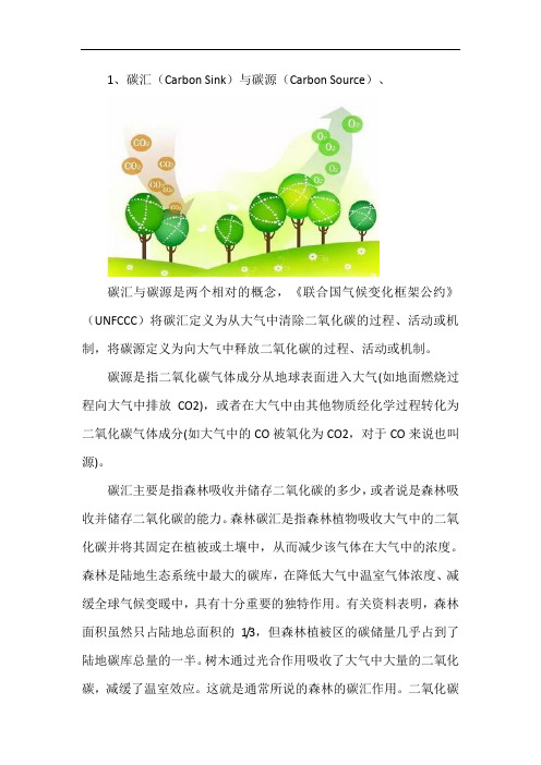 您可能需要了解的碳汇概念