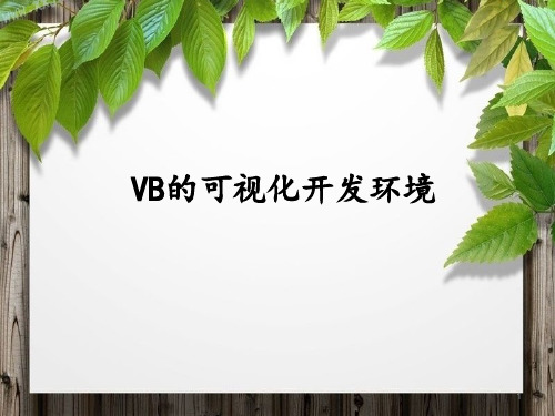 VB的可视化开发环境ppt课件