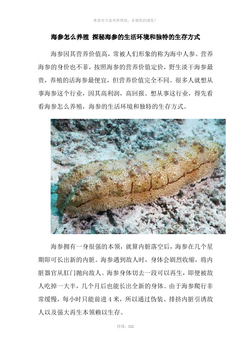 海参怎么养殖-探秘海参的生活环境和独特的生存方式