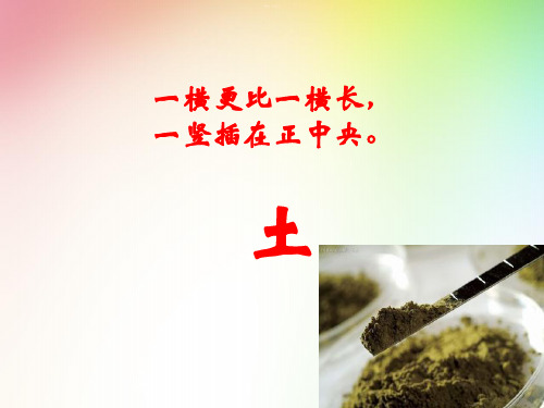 二年级上册科学课件 2、土壤-动植物的乐园 教科版
