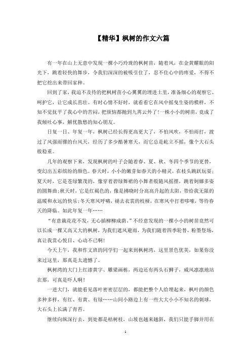 枫树的作文六篇范文精选