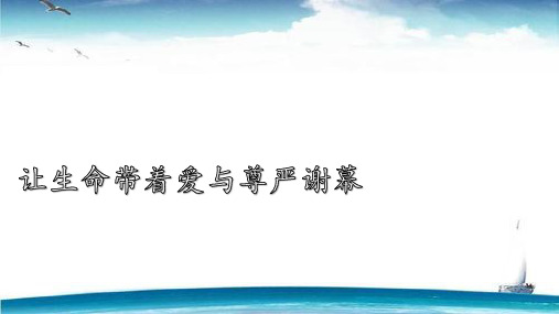 安宁疗护,让生命在爱和尊严中谢幕