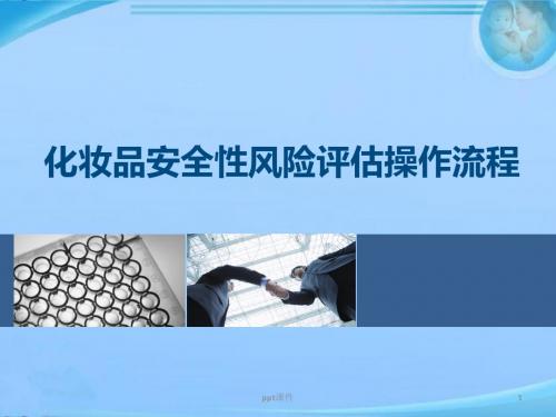化妆品安全性风险评估操作流程  ppt课件