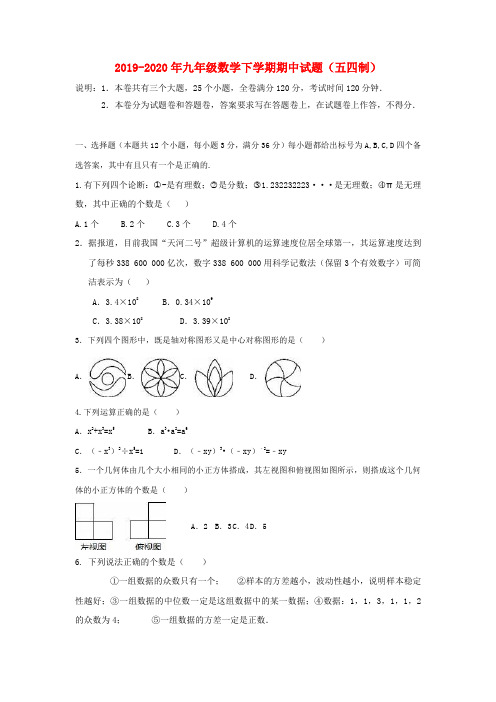 2019-2020年九年级数学下学期期中试题(五四制)