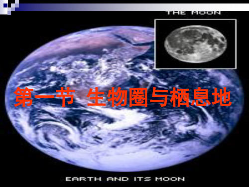 第一节 生物圈与栖息地共24页PPT资料