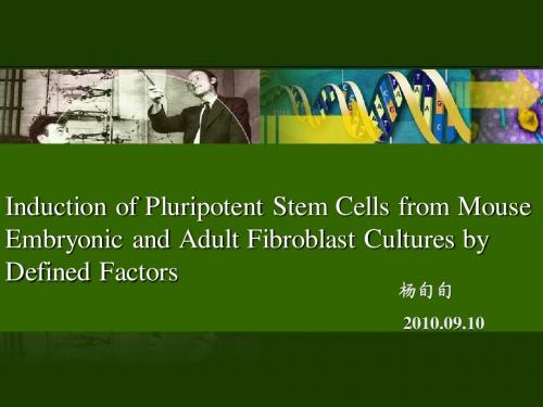 Induction of Pluripotent Stem Cells from Mouse Embryonic and Adult Fibroblast Cultures by Defined Fa