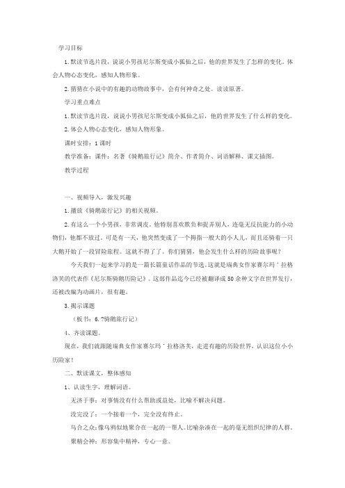 《骑鹅旅行记》教学设计2篇