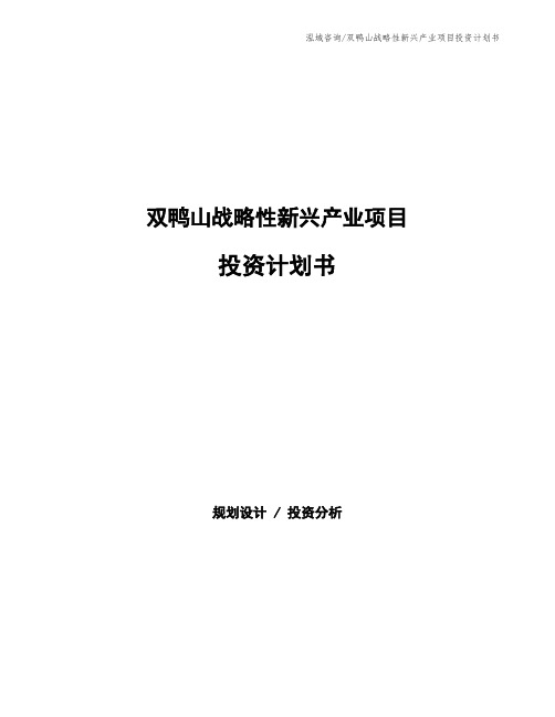 双鸭山战略性新兴产业项目投资计划书