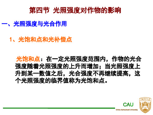 第四节光照强度对作物的影响 (2)