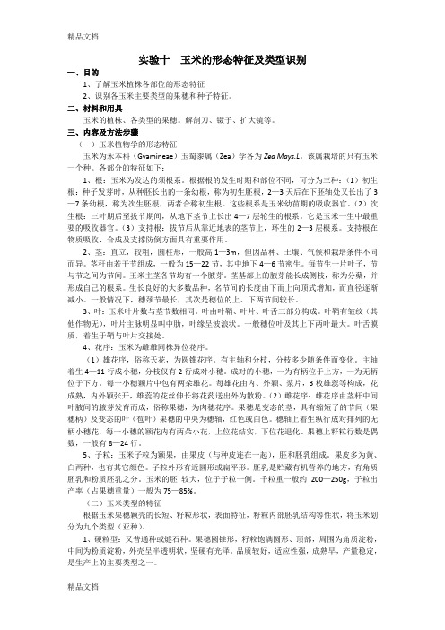 最新玉米的形态特征及类型识别资料