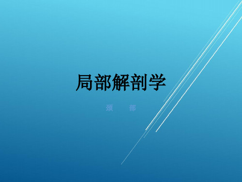 【局部解剖学 讲义课件】局解——颈部
