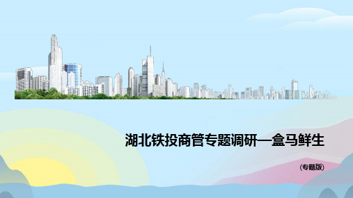 盒马鲜生案例PPT完美版