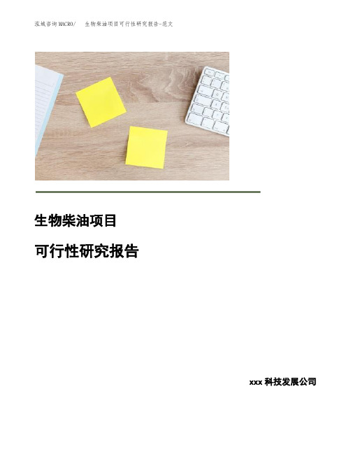 生物柴油项目可行性研究报告-范文