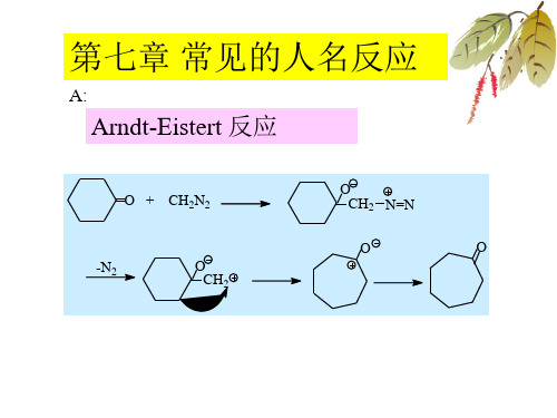 常见的人名反应 PPT
