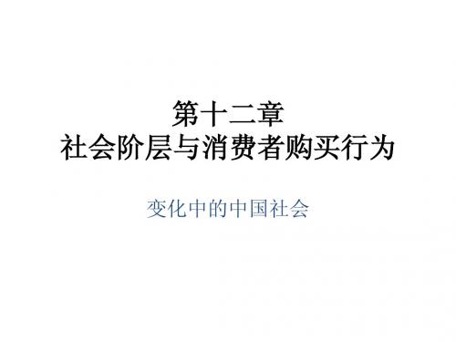 第十二章社会阶层与消费者行为