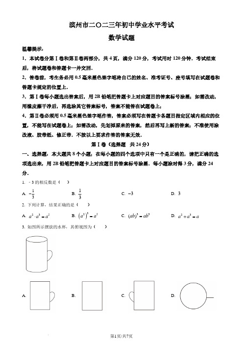 精品解析：2023年山东省滨州市中考数学真题(原卷版)