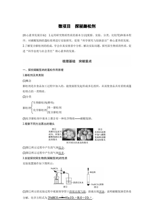 微项目 探秘膨松剂