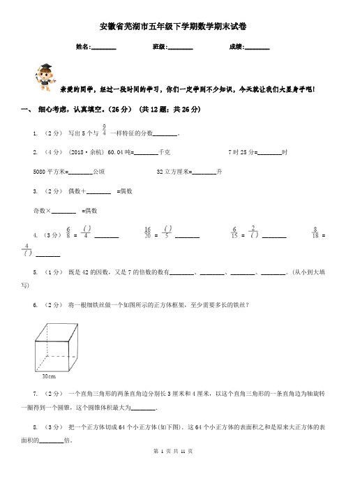 安徽省芜湖市五年级下学期数学期末试卷