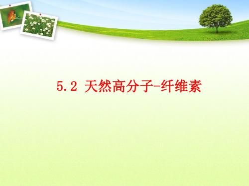 第五章 天然高分子材料-纤维素 
