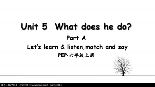 PEP人教版六年级英语上册Unit 5课件