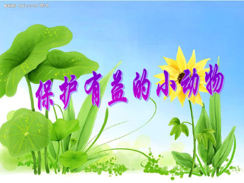 人教小学语文二年级上 口语交际 保护有益的小动物
