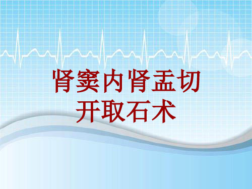 外科手术教学资料：肾窦内肾盂切开取石术讲解模板