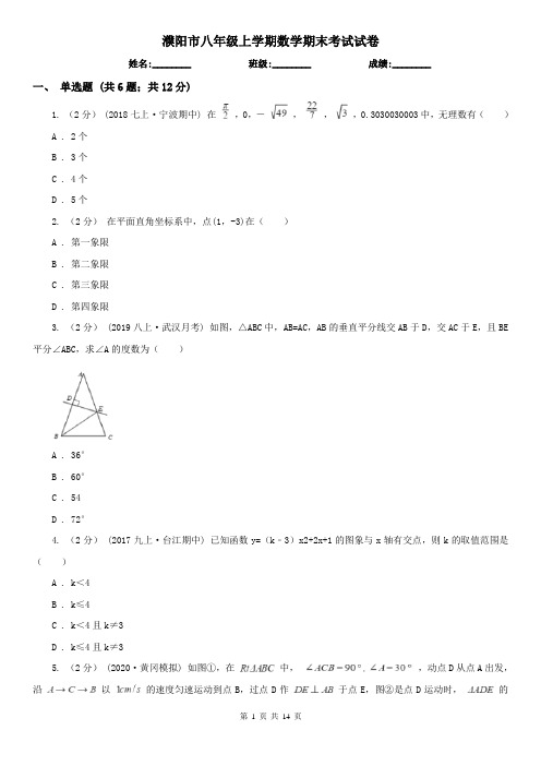 濮阳市八年级上学期数学期末考试试卷