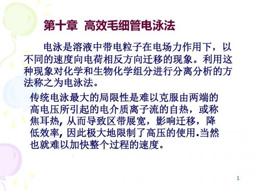 高效毛细管电泳