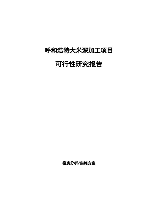 呼和浩特大米深加工项目可行性研究报告
