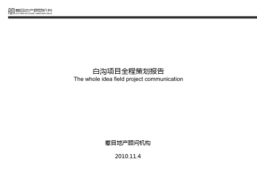 惹目地产-XXXX年11月河北省白沟项目全程策划报告