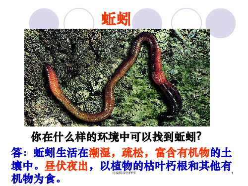 教科版科学三年级上册《蚯蚓》1精5ppt课件