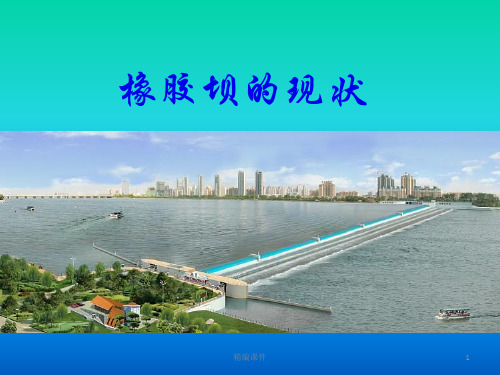 橡胶坝的现状(高级课件)