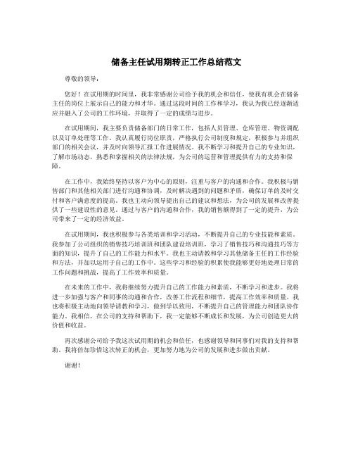 储备主任试用期转正工作总结范文