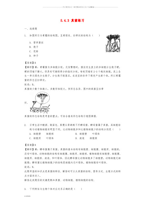 八年级生物上册 5.4.3 真菌练习(含解析)(新版)新人教版