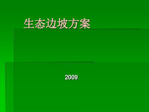 柔性生态边坡方案