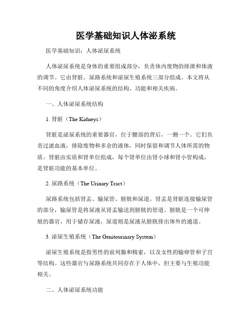 医学基础知识人体泌系统