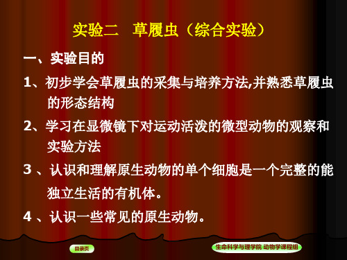 实验2草履虫(综合实验)