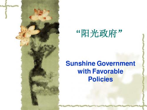 阳光政府